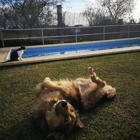 Casa Monte Da Eira *